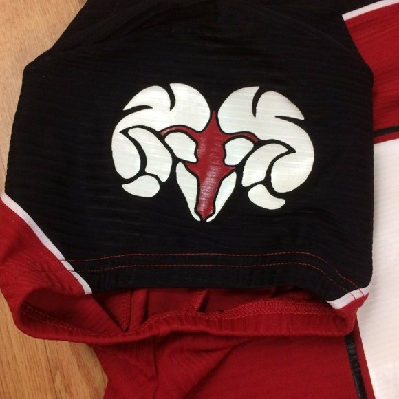 WSSU Rams Authentic Game Worn Football Jersey #83 - Picture 4 of 5